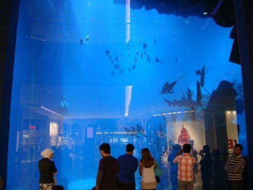 走进奢华的迪拜生活：一个车牌价值60万(组图)