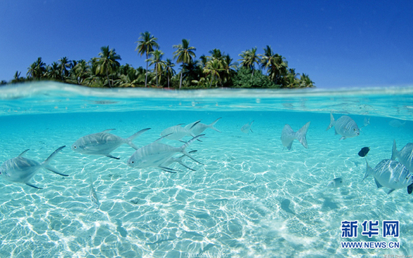 精选“五一”旅游十大热门城市