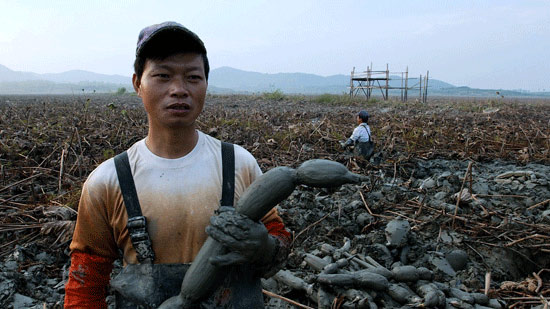《舌尖上的中国》让“眼泪与口水齐流”
