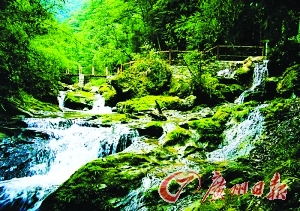 夏日领略巴山秀水别样风情