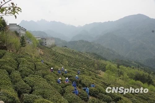 暑期出游好去处 国内最受欢迎9大避暑名山(图)
