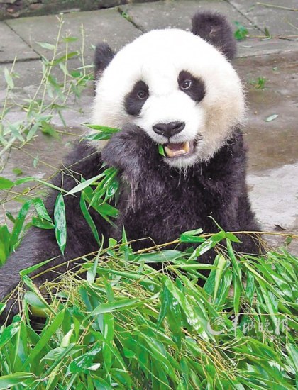 感受中国的地大物博