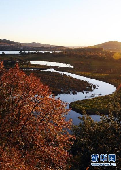 组图：美丽的雁鸣湖湿地