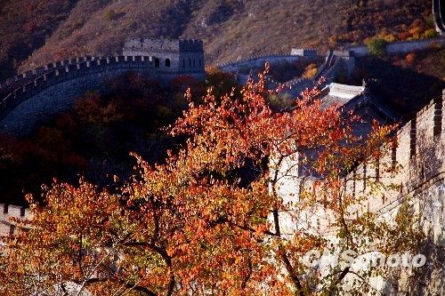 京城不仅香山有红叶 10大最佳赏红地推荐