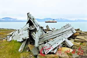 探秘北极鲸鱼坟场 一位旅行作家眼中的北极