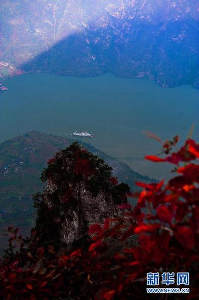 又到三峡红叶时