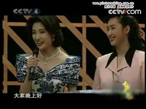 赵忠祥罗京白岩松 央视主播年轻照曝光!