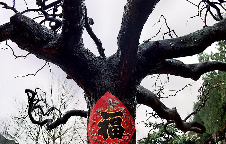 中原地区春节习俗面面观