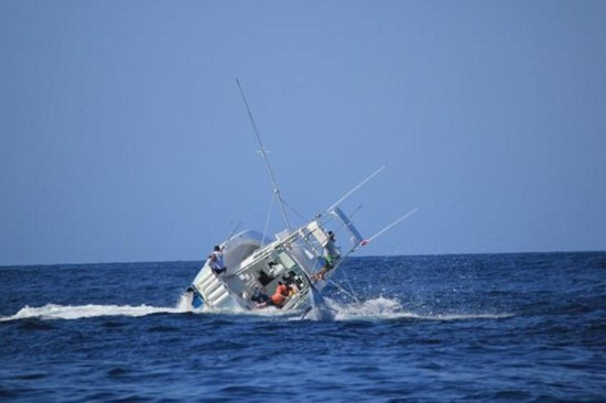 抓拍巨型枪鱼袭击巴拿马渔船