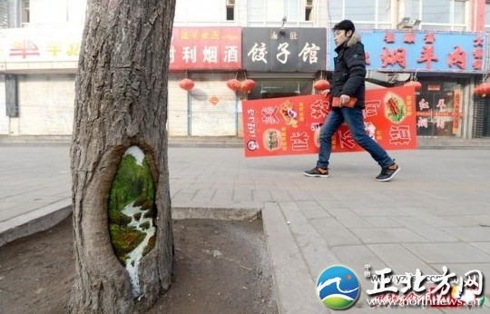女孩绘树洞画轰动全国 让残垣断壁美起来[组图]