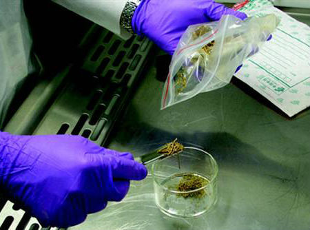 十个迄今发现的最古老物体：7000年石制面具