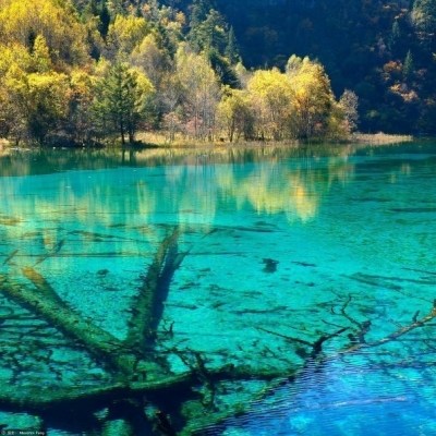 神州猎秋斑斓中纯净 中国秋色最美地Top10