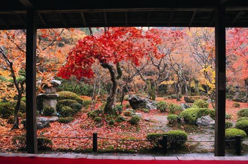 京都大德寺 日本禅宗中心