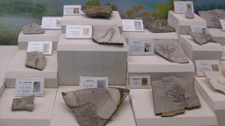 <SPAN>参观辽宁古生物博物馆（组图<U>）</U></SPAN>