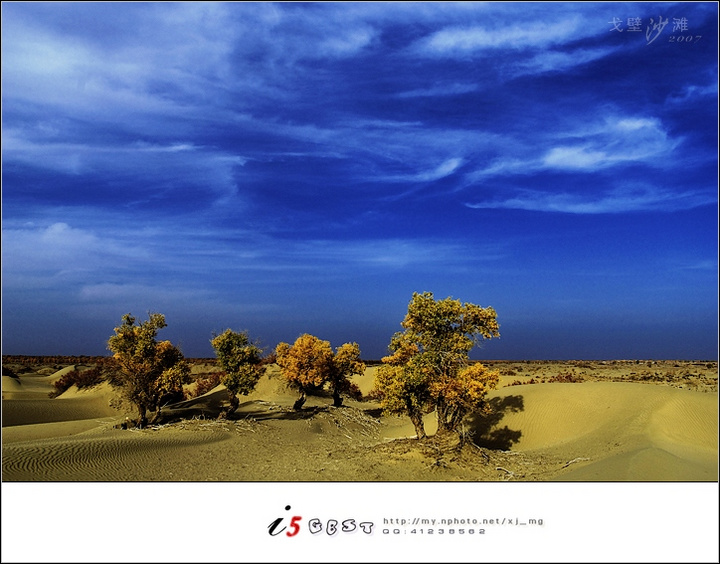 塔里木河――生命之河