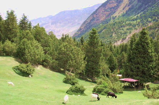 风光幽美迤逦的人间仙境克州冰川公园