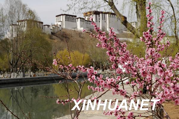 《拉萨市城市绿线管理办法》6月1日起实施