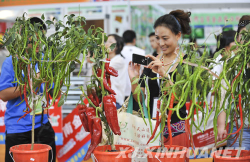 第十二届中国新疆国际农业博览会开幕