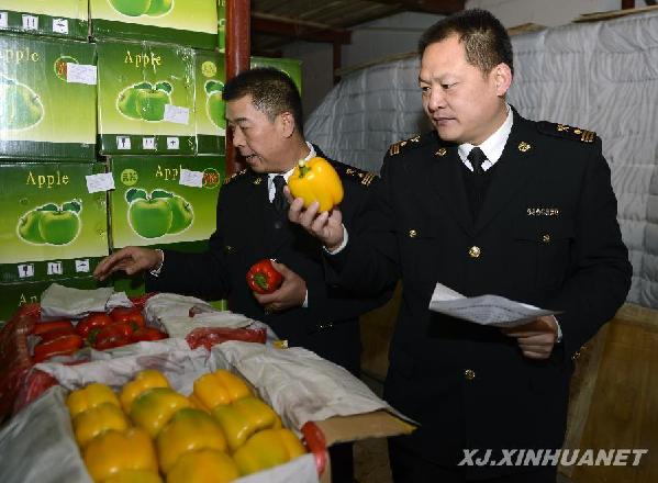 新疆口岸果蔬出口进入旺季