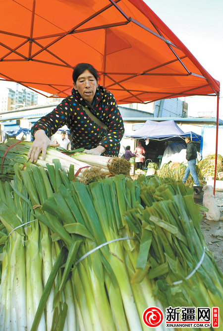 新疆：冬储大葱价格同比降低一半