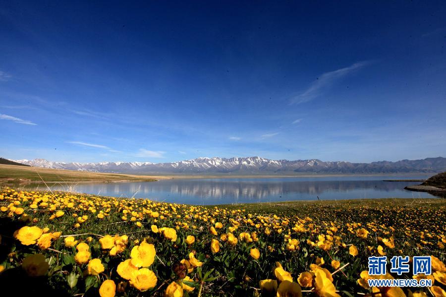 新疆赛里木湖春色如画