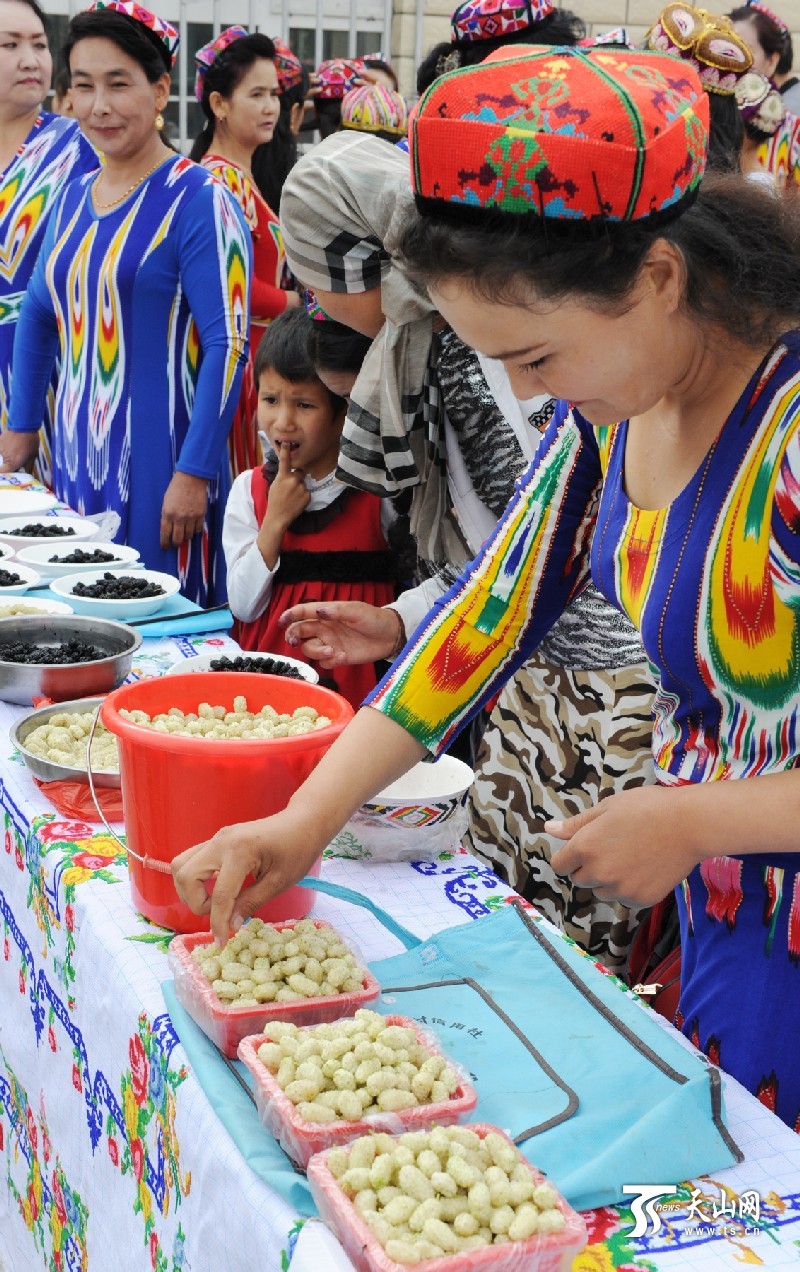 新疆库尔勒市首届“美丽兰干·甜蜜桑葚”节开幕