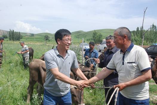 格干牧业村贫困户喜牵“扶贫牛”