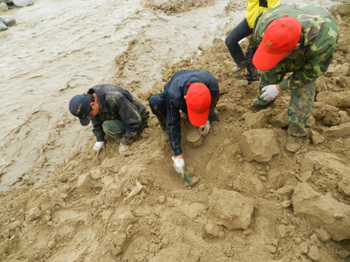 新疆抢救因山洪而受重创的古墓群