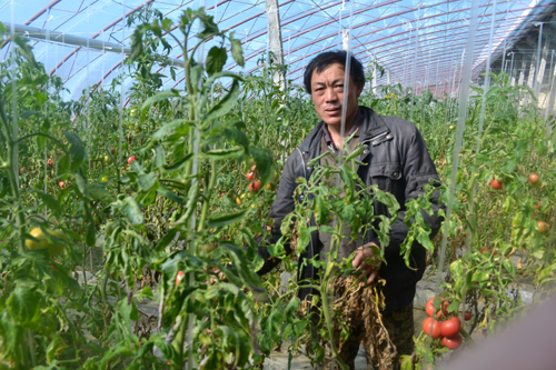 温室大棚助农增收 莫特格乡积极鼓励农民经营设施农业