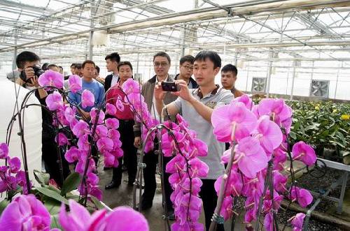 新疆兵团第六师共青团农场旅游业大放光彩