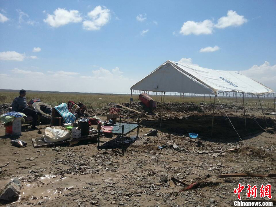 河子大学获2项2013年度国家社科基金艺术学项