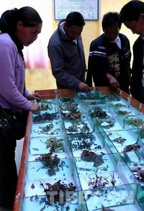 珠峰自然保护区:环保卓有成效 环境风貌依旧