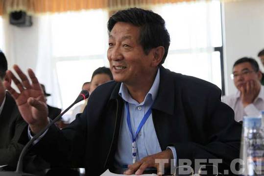 共论藏文化保护：海内外专家学者思想碰撞在拉萨