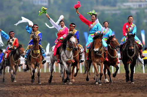 精彩纷呈的马术表演