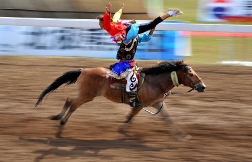 精彩纷呈的马术表演