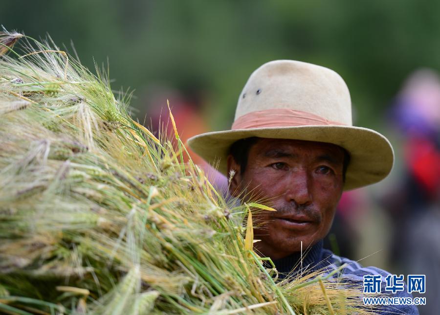 昌都地震灾区救灾稳步推进