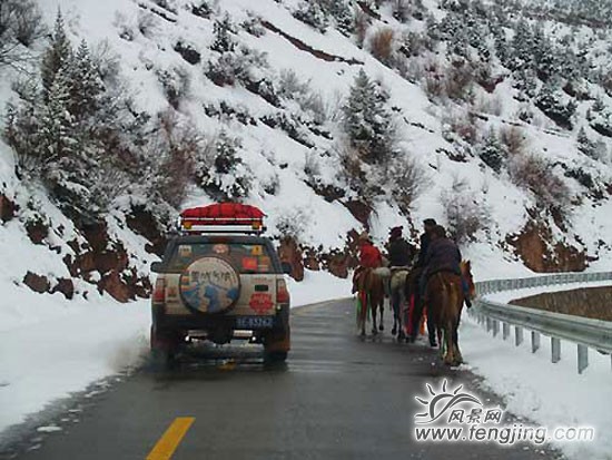 冬游西藏性价比最高[1]