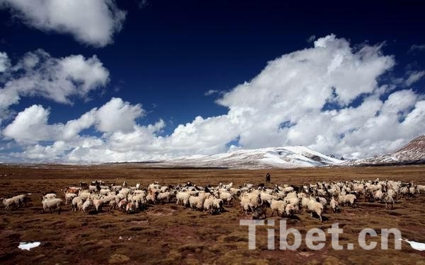 盘点2014：发现最美西藏之风光篇