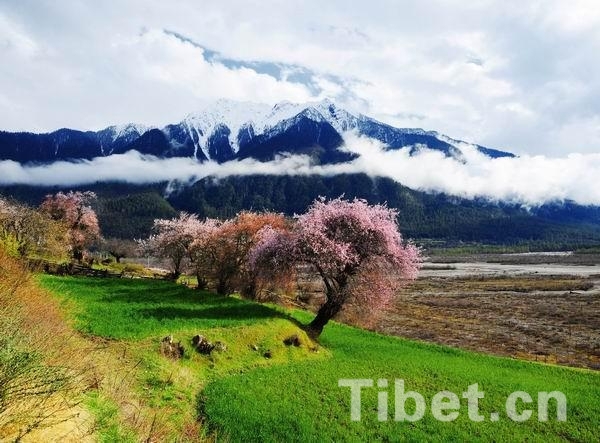 盘点2014：发现最美西藏之风光篇