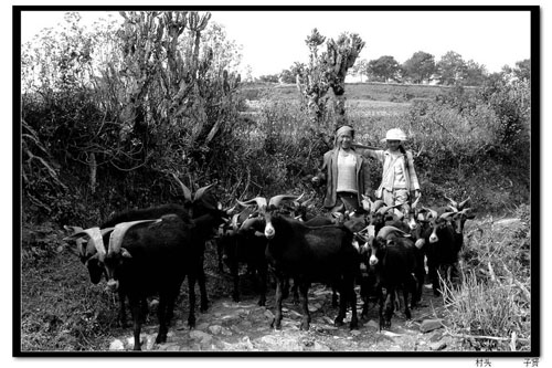 居住在云南南涧彝族村落的老人（组图）