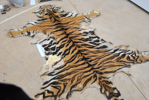 昆明森林公安局打击破坏野生动植物资源违法犯