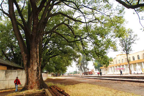 金飞豹日记——“寻访百年滇越铁路徒步千里见证历史”（第6天）