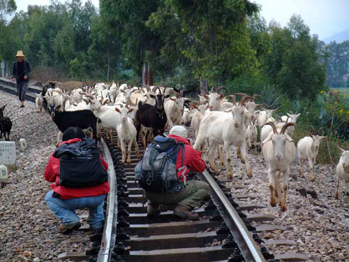 金飞豹日记——“寻访百年滇越铁路徒步千里见证历史”（第6天）