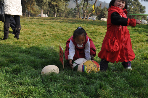 元旦三天假 云南野生动物园奇珍你拿