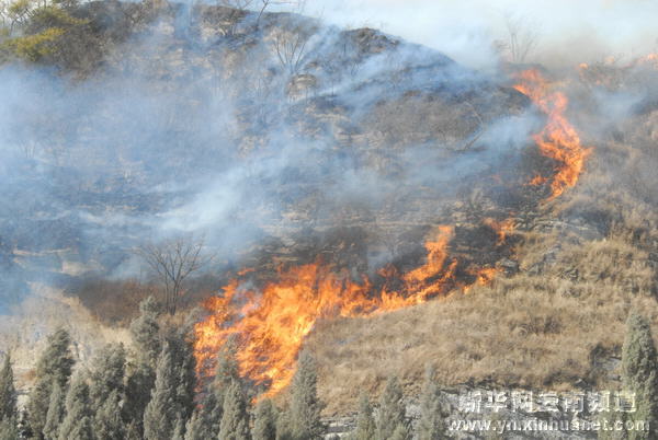 云南曲靖扑灭突发山火
