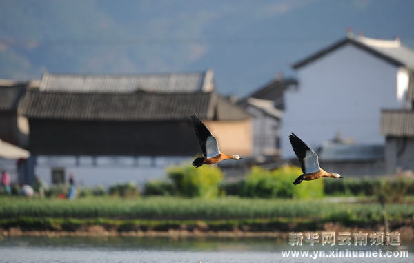 高原水乡西湖 世外桃源如画[多图]