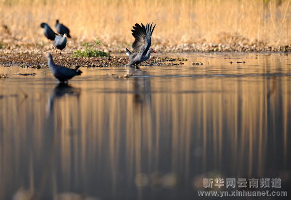 高原水乡西湖 世外桃源如画[多图]