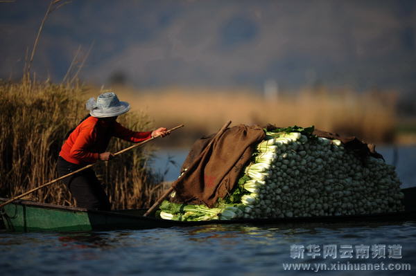 高原水乡西湖 世外桃源如画[多图]