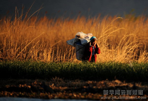 高原水乡西湖 世外桃源如画[多图]