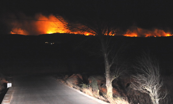 云南石林发生森林火灾3天未被扑灭(组图)